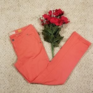 Anthropologie Pilcro Coral Pants Size 27